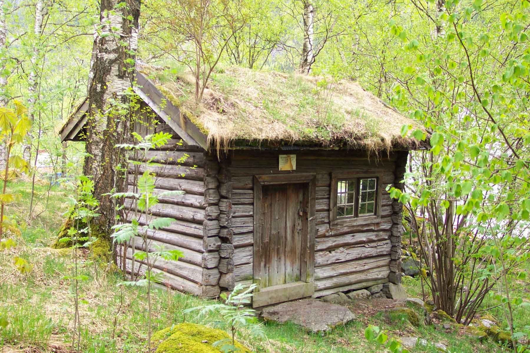 Cotter's Cabin